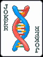 DNA